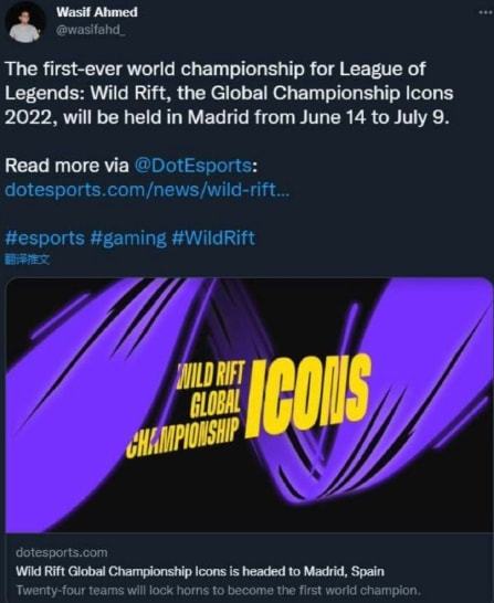 联赛的整体 联赛的整体